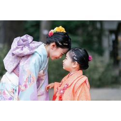 桜と七五三の画像1