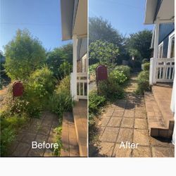 お庭の園路が生まれ変わる！庭木の剪定でスッキリ美しくの画像1