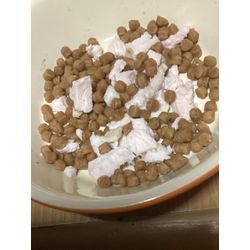 健康！まるぞう社長13歳の画像2