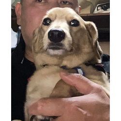 健康！まるぞう社長13歳の画像1