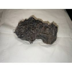 港北区でドラム式洗濯機の詰まり除去に行ってきました！の画像1