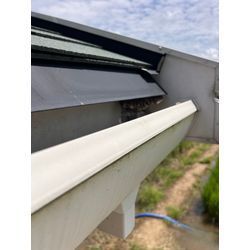 大牟田市　雨樋　アシナガバチ駆除の画像1