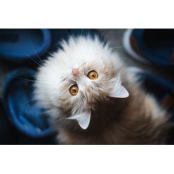 はじめましての画像3