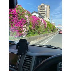 ゴールデンウィークの画像1