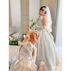 リングドッグ　感動に包まれましたの画像3