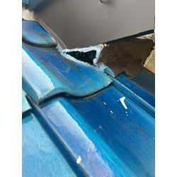 ネズミの侵入経路は大屋根にもあり！の画像1