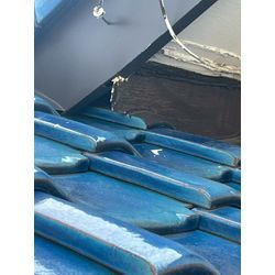 ネズミの侵入経路は大屋根にもあり！の画像3