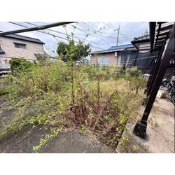 除草作業をさせて頂きました！の画像1