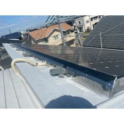 かわいいんですが。の画像3