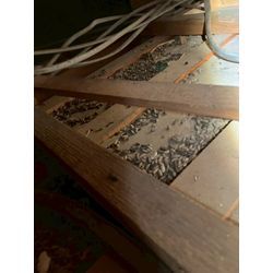 埼玉県にてネズミ被害駆除防除対策を行いました。の画像1