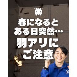 春の羽アリにはご注意を🪶！の画像1
