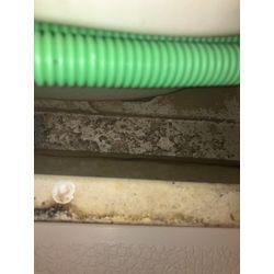 【エプロン内高圧洗浄】の画像1