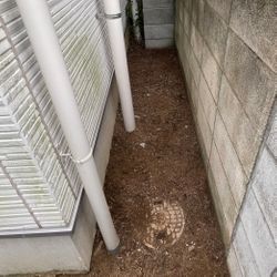 冬の訪れ直前‼10～11月は草むしりのベストタイミングです！冬を楽する最後のチャンスの画像2