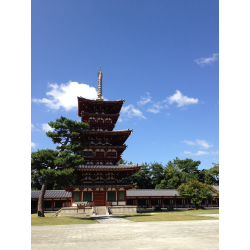 奈良県薬師寺で、展覧会イベントの設営補助☆の画像1