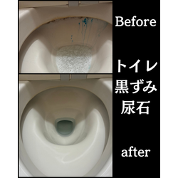 遠方からのご依頼『お風呂｜カビ｜水アカ｜・トイレ清掃｜黒ずみ・尿石・水アカもスッキリ』の画像1