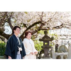 🌸 桜の時期の撮影受付開始！🌸の画像2