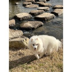 改めまして自己紹介。私が家事代行を始めた理由の画像1