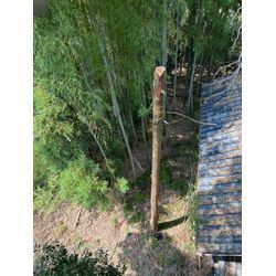 川越・狭山・坂戸でのお庭じまいと伐採｜暑さの中でも庭はすっきりの画像3