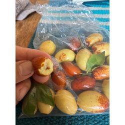 川越・狭山・坂戸でのお庭じまいと伐採｜暑さの中でも庭はすっきりの画像2