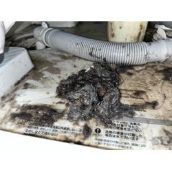 稲城市でドラム式洗濯機の詰まり除去に行ってきました！の画像2