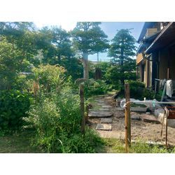 草刈り作業の画像1