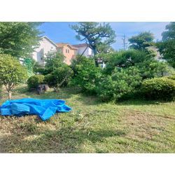 草刈り作業の画像2