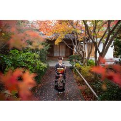 愛知の撮影におすすめする神社３選の画像3