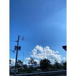 夏日の画像1