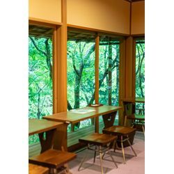 2025年8月撮影レポート（鎌倉）の画像1