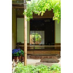 2025年8月撮影レポート（鎌倉）の画像3