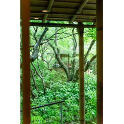 2025年8月撮影レポート（鎌倉）の画像2