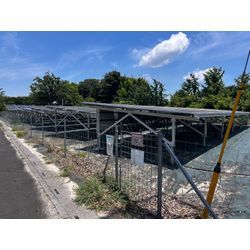 【北葛飾郡】ソーラー発電所の除草＆伐採作業　2025年7月22日の画像1