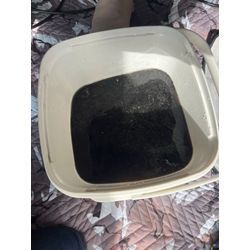 【ヤマダ電機モデル】3年使用のエアコンを完全分解クリーニング！の画像3