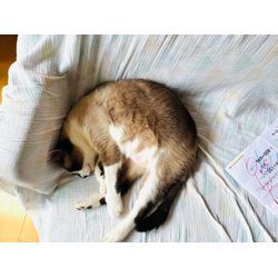 ☆開業２０６日目☆の画像2