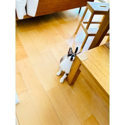 ☆開業２０６日目☆の画像3