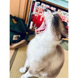 ☆開業２０６日目☆の画像1