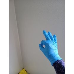 壁紙カビ除去クリーニングの画像3