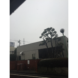 雪ですね〜の画像1