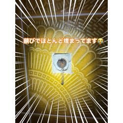 トイレ交換の画像2