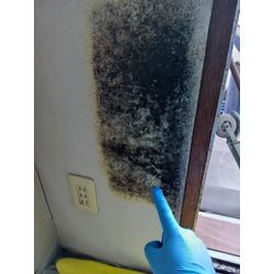 お部屋のカビ除去クリーニングの画像2