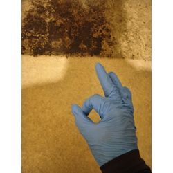 お部屋のカビ除去クリーニングの画像1