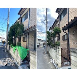 【練馬区】道路沿いの庭木剪定｜電線・建物に配慮した個人宅施工の画像1
