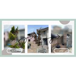 K様　お客様の声の画像1