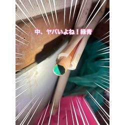 給湯管水漏れ補修😭😭の画像2