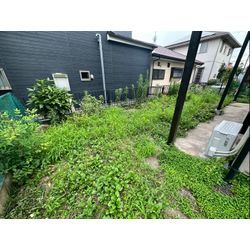 除草作業をさせて頂きました！の画像1