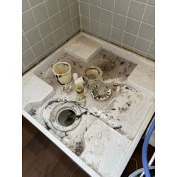 今日は洗濯機の点検・修理を3件対応しました。の画像2