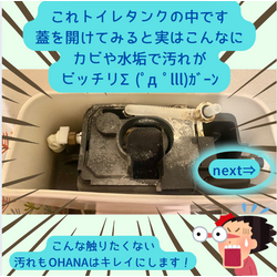 トイレタンクの中のぞいた事ありますか？🚽の画像1