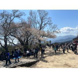 高尾山登山の画像2