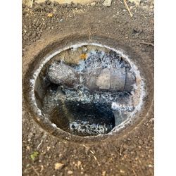 食あたり後1発目！の画像1