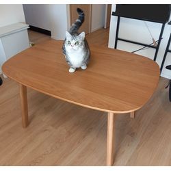 🐶🐱癒しのひととき✨の画像1